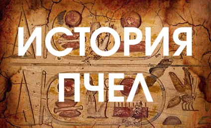 Miért, miért, és hogyan méhek a méz (méhek teszik viasz) Miért, miért, és hogyan méhek a méz