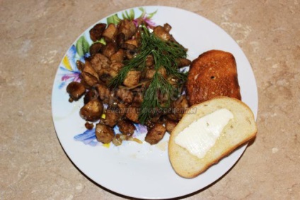 Sült hús és gombák (grillezett hús és a gomba egy serpenyőben) Grillezett hús gombával