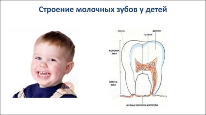 Vannak baba foga fáj a gyerekek miért fáj egy ideiglenes fogat a gyermek és mit kell csinálni