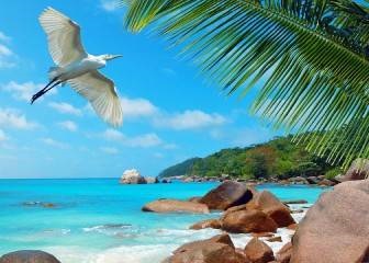 Mit jelent a turisztikai idő a Seychelles havi