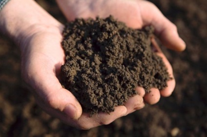 Mi a talajnedvesség, a talaj nedvességtartalma