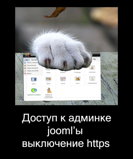 Hozzáférés az admin joomla - Ki https