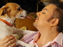 Dzhek Rassel terrier kutya fajta leírás, fényképek, kölykök, a reklám és a filmek (Russell) Dzhek Rassel terrier kutya fajta leírás, fényképek, kölykök, reklám és filmek