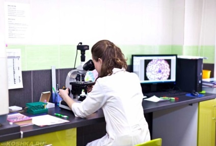 Encephalitis a kutyáknál a tünetek és a kezelés után a kullancsok (encephalitis) Encephalitis a kutyák és a kezelés a tünetek, atkák