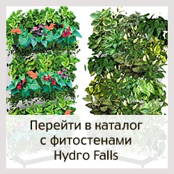Fitolayf - Cikk - típusú függőleges kert rendszerek