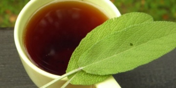 Ivan tea, gyógyszer tulajdonságait, ellenjavallatok