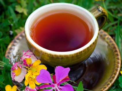 Ivan tea, gyógyszer tulajdonságait, ellenjavallatok