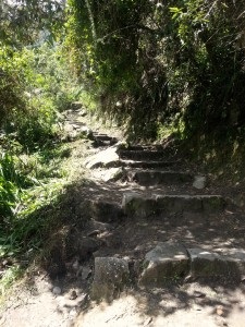 Hogyan lehet eljutni Machu Picchu 2016 útvonalakat, költségek, a szállítási