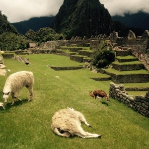 Hogyan lehet eljutni Machu Picchu 2016 útvonalakat, költségek, a szállítási