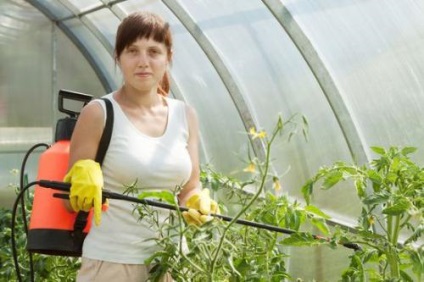 Hogyan lehet megszabadulni a fehér legyek a kertben, egy üvegház, cserepes virágok videó