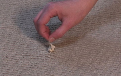 Hogyan lehet megszabadulni a rágógumi a ruha, kanapé és szőnyeg