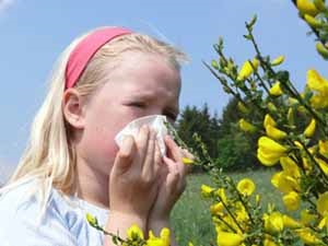 Elkerülése allergia megnyilvánulásai, amikor álmennyezetek eszközt