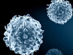 Hogyan gyorsítható a fehérvérsejtek a vérben a kemoterápia után