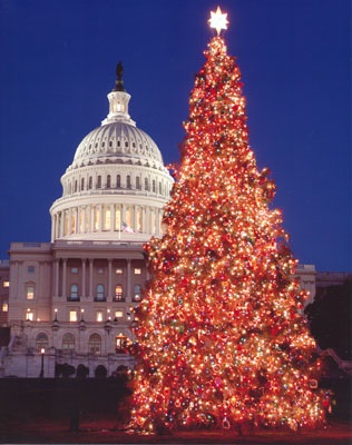 Hogyan ünneplik a karácsonyt Amerikában élő, tanulni és dolgozni az USA-ban