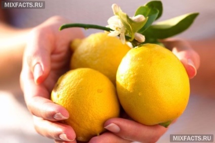Hogyan kell használni olívaolaj citrommal haj