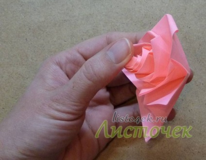 Hogyan készítsünk egy rózsa papírból (stephan weber), levél