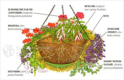 Hogyan készítsünk egy függőleges kert, saját kezével