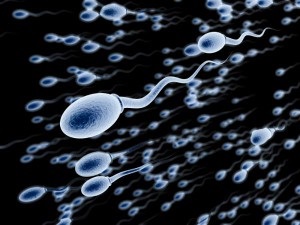 Hogyan lehet javítani a sperma minőségét, a probléma a férfi és női terméketlenség és módszerek azok megoldásait