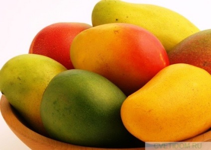 Hogyan növekszik egy mangó otthon