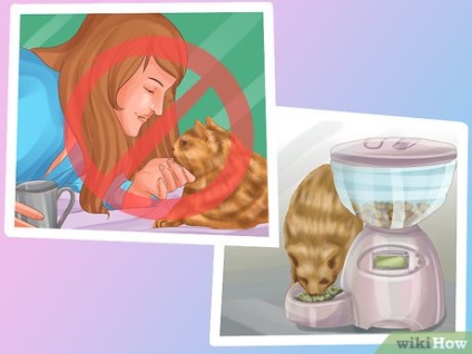 Hogyan készítsünk egy macska alszik melletted
