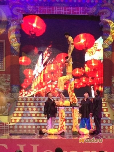 Kínai cirkusz - összes vélemény - Nyaralás gyerekekkel
