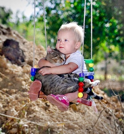 Macskák és gyerekek