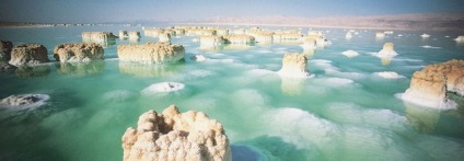 Cream Dead Sea arc szerkezete és tulajdonságai
