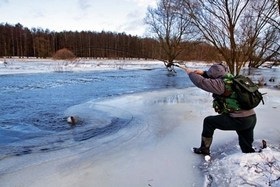 Elkapta sügér áprilisban a folyón, elkapni