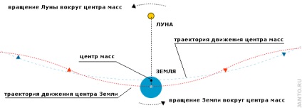 Lunar gravitáció és annak hatását a földre