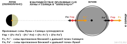 Lunar gravitáció és annak hatását a földre