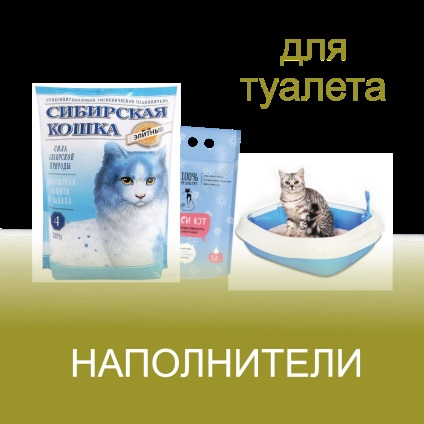 Vásároljon állati termékek, takarmány tárolására, áruk macskáknak