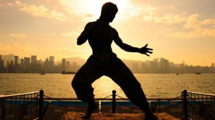 Kínai harcművészetek mestere Ip Man életrajz, érdekes tények és eredmények
