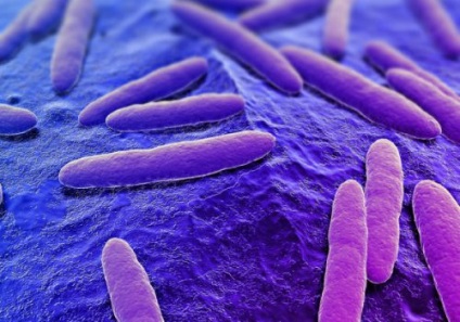 Lehet antibiotikumok befolyásolhatják a havi ciklus rendellenességek