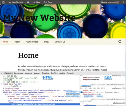 Első lépések a wordpress változtatni a kinézetét webhely segítségével css, cms és motorok