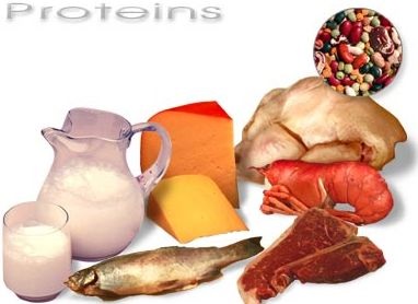 Okát a túlsúly! Használata tulajdonságai fehérjék protein proteinek kezelhető fehérje és fogyás fitness