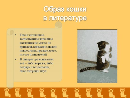 A kép egy macska az irodalomban - előadás 195284-15