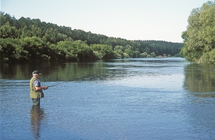 megáll egy pillanatra