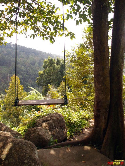 Paradise park és mezőgazdasági Samui