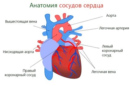 a miokardiális infarktus kezelésére a cukorbetegség)