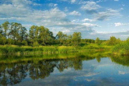 Shosha folyó Tver régióban leírás, fotók, nyaralás ötletek