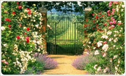 Rózsafüzér kerttervezés, kerttervezés és kerti telek