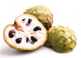 Sapodilla készítmény, kalóriatartalmú, jó, receptek (kalória) Sapodilla készítmény, kalória, jó, receptek