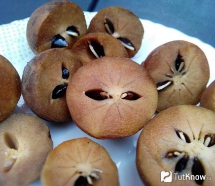 Sapodilla készítmény, kalóriatartalmú, jó, receptek (használata) Sapodilla készítmény, kalória, jó, receptek