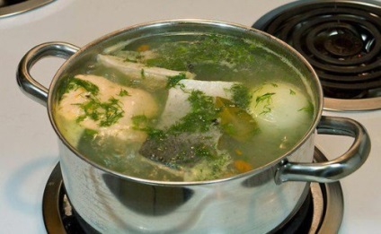 Fül lazacfélékből készítsen ízletes házi leves