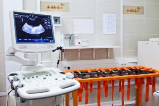 Ultrahang diagnosztika állatok 363 rubelt