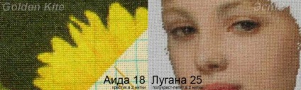 A választás a vásznon a hímzés - hímzés technológia - tematikus és szerzői oldalaira is - az emberek (mi jobb vászon hímzés) A választás a vásznon a hímzés - hímzés technológia - tematikus és szerzői oldalaira Well - Emberek
