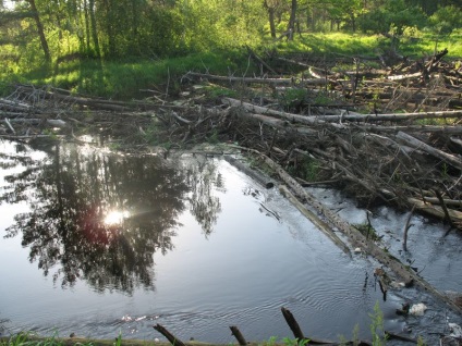 Víz utakon területeken folyó (River) Víz út a folyó területén
