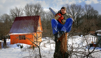 Minden favágók-mászó, az okos dolog - - arborists - dedikált, vibráló története a jégkorszak