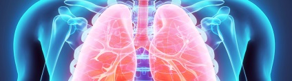 Betegségek a légzőrendszer fajtái és jellemzői