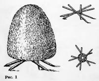 Betakarítása szénakazalban (egymásra) (állat - takarmány)